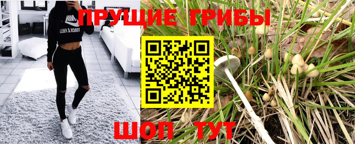 ЭКСТАЗИ  Alpha-PVP СК   Марихуана  Лангепас  LSD-25  МЕТАМФЕТАМИН  COCAIN  ГАШ  МЕФ   Вход с VPN  НБОМе 