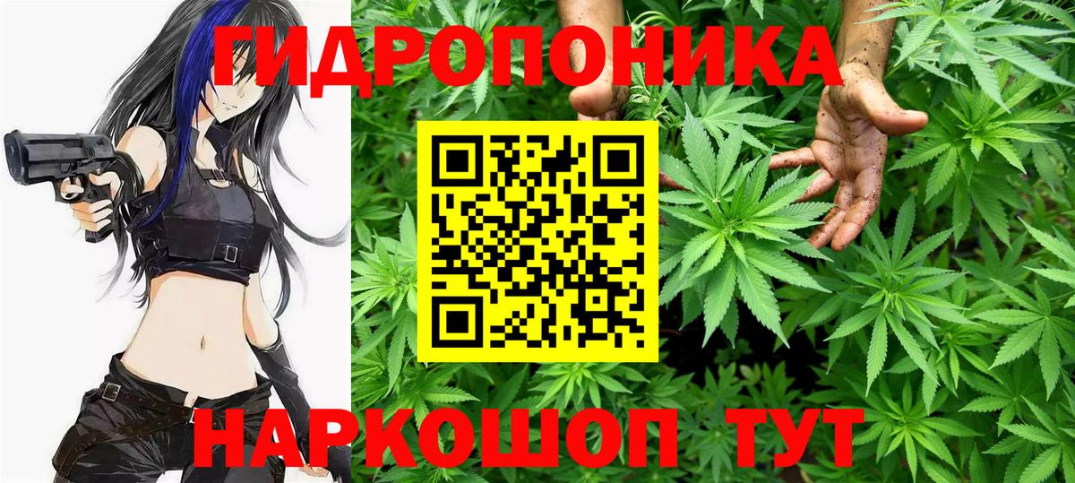 Бошки Шишки планчик Лангепас